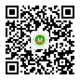 济宁医疗保障